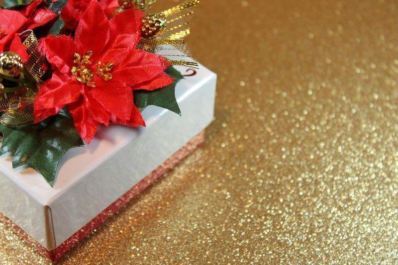 Verpackungsprofi GmbH - Image 2